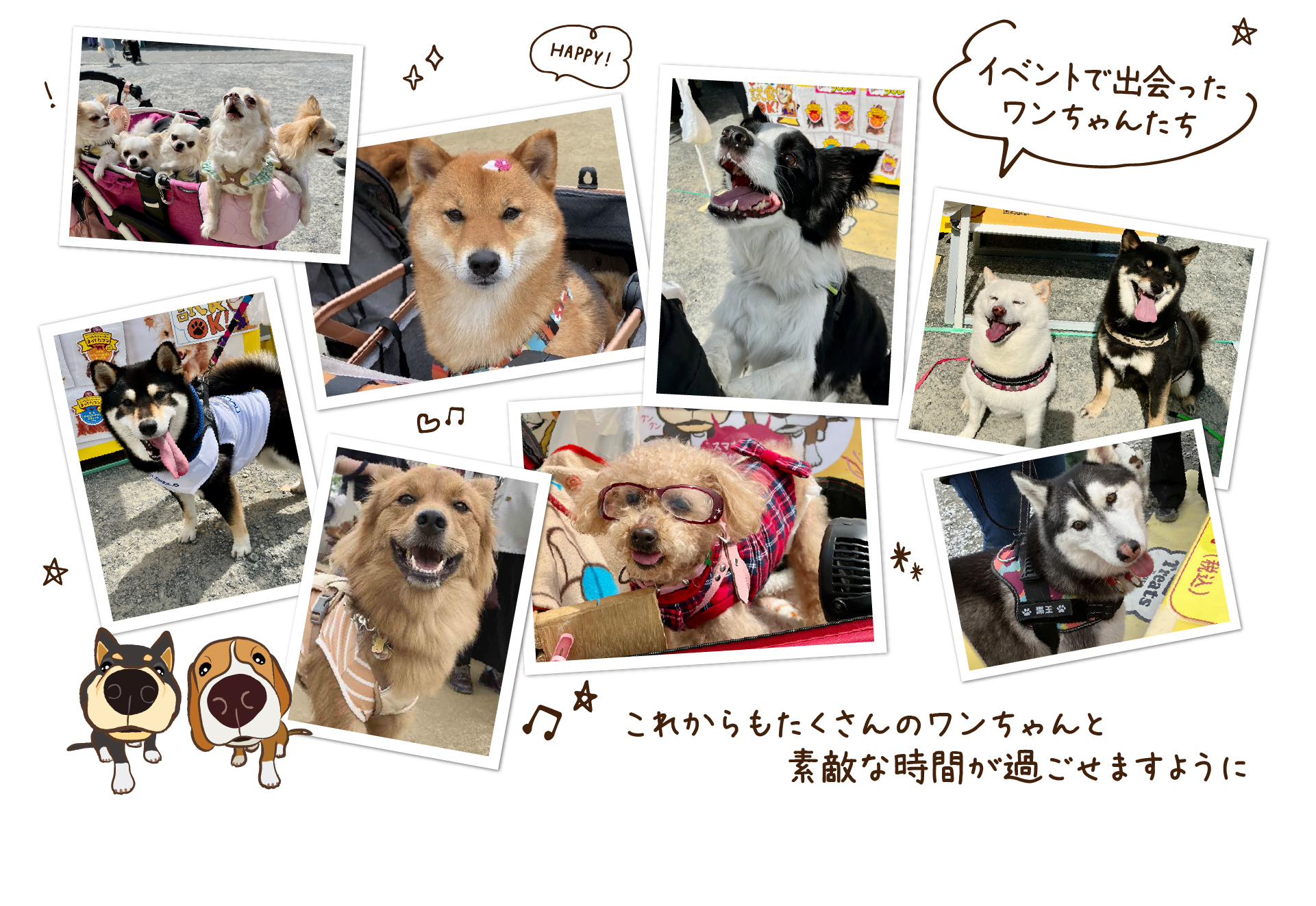 イベントで出会ったワンちゃんたち。これからもたくさんのワンちゃんと素敵な時間が過ごせますように