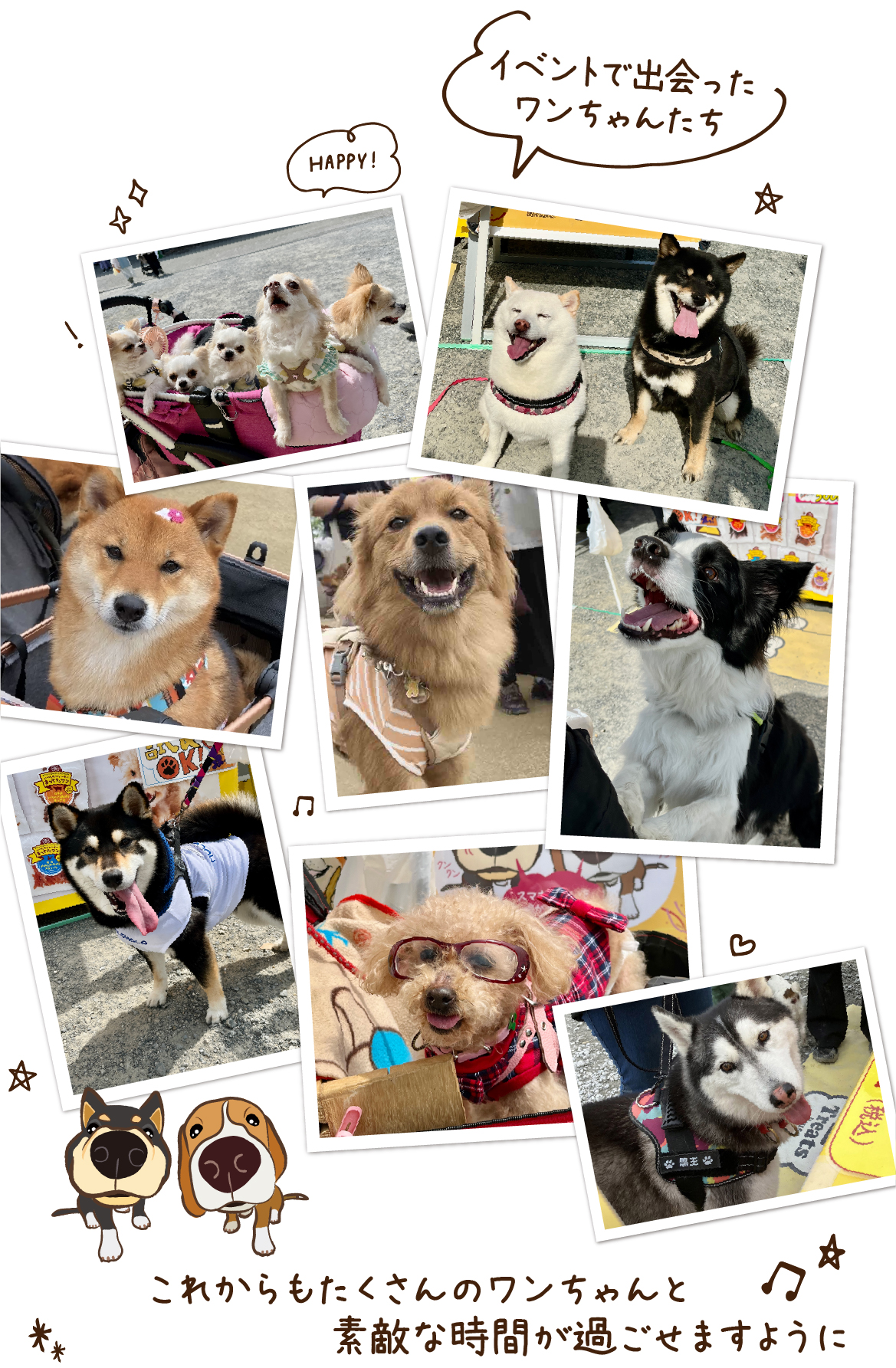 イベントで出会ったワンちゃんたち。これからもたくさんのワンちゃんと素敵な時間が過ごせますように