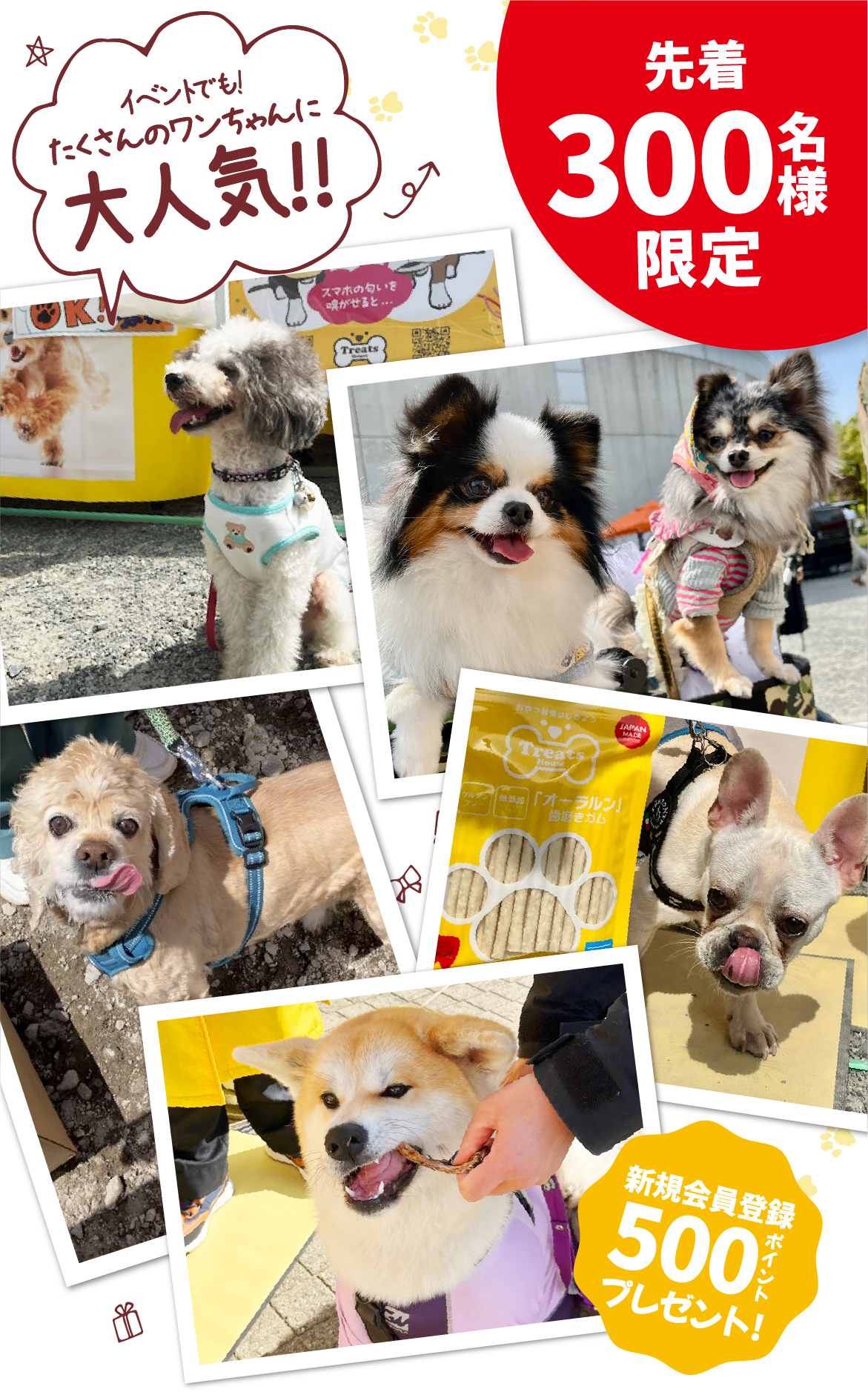 イベントでもたくさんのワンちゃんに大人気!先着300名様限定お得なおまとめ5パックセット!!新規会員登録500ポイントプレゼント!