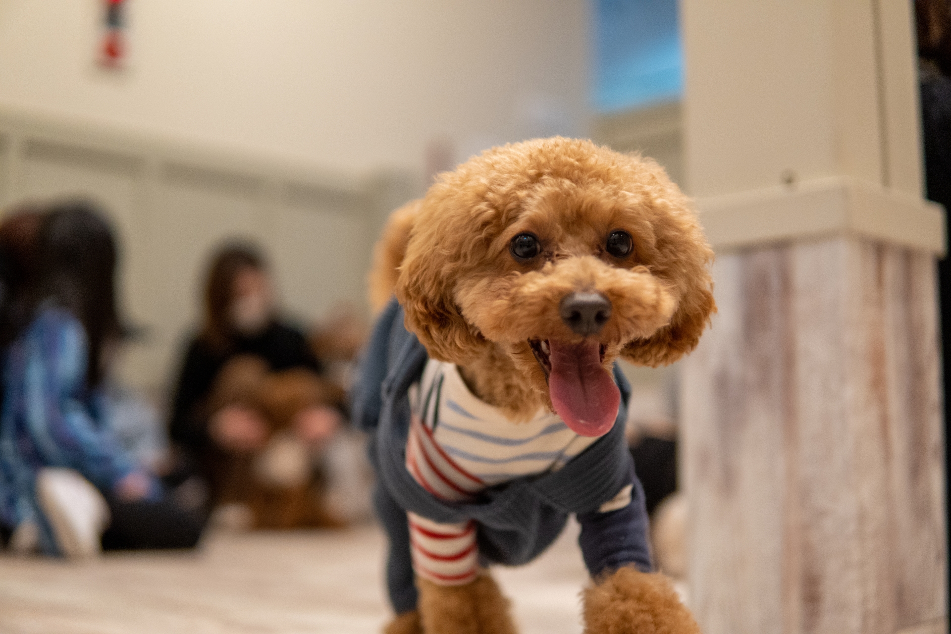 202601おしらせサムネ