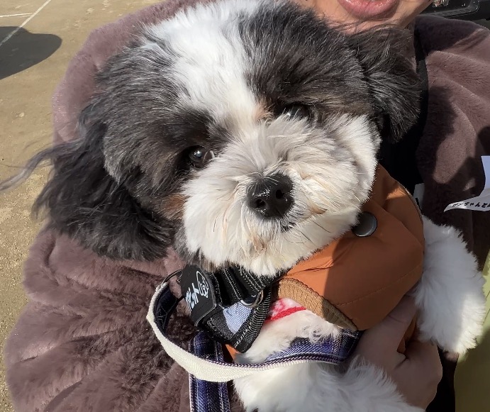 12月二週目 サムネ